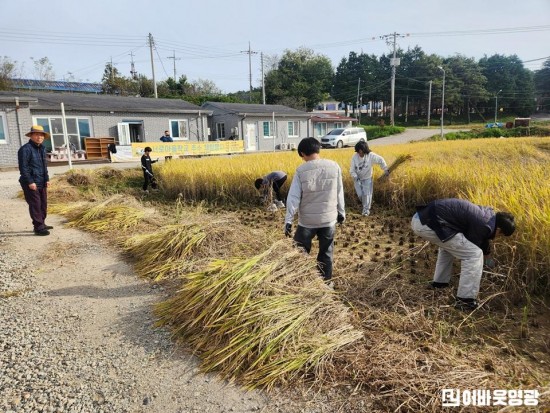 대마초 가래떡.jpg
