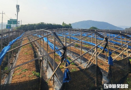 3.사진(농업시설 집중 점검).jpg