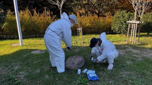 1.사진(영광군, 동절기 모기 유충구제 집중추진)1.jpg