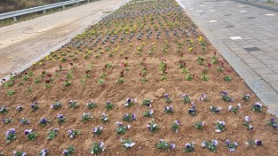 2.사진(군남면, 양심화단 조성)1.jpg