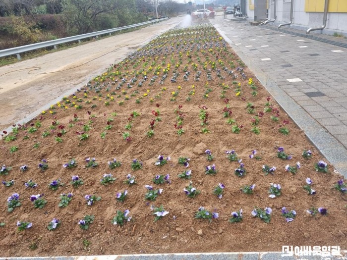 2.사진(군남면, 양심화단 조성)1.jpg