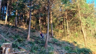 3.사진(영광군,연흥사·내산서원 산불안전공간 조성)1.jpeg