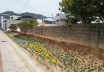 법성면, 곡우사리 영광굴비축제를 위한 꽃길 조성