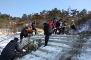 해양거점 아름다운 섬 낙월, 설맞이 환경정화 활동 펼쳐