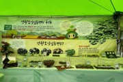 영광군, 2025 영광 법성포 단오제 떡산업 식품전 홍보부스 운영