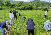 묘량면 영농철 농촌일손돕기 추진