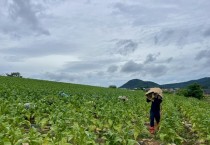 농민의 표, 일하는 일꾼에게 간다