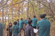 영광군, ‘소나무재선충병’ 신규 발생, 초동 대처