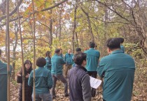 영광군, ‘소나무재선충병’ 신규 발생, 초동 대처