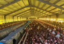 영광군, 여름철 가축 재해피해 예방 총력