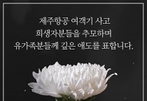 무안 여객기 사고 여파, “영광군 신년 해맞이 행사 줄줄이 취소”