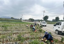 군서면, 영농철 농촌 일손돕기 활동