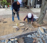 영광군, 가로수 뿌리로 인한 인도 파손 정비… 보행자 안전 확보 나서