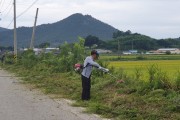 군서면, 추석맞이 주요 도로변 풀베기 본격 시작