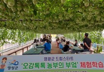 오감으로 즐기는 체험, 아이들의 웃음꽃 활짝