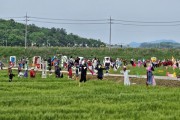 군남면, 제11회 영광찰보리 축제 대성황리에 마무리