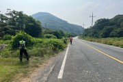 묘량면, 안전한 교통환경 조성 풀베기 작업 실시
