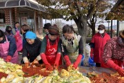 백수읍, 사랑의 김장김치 나눔 행사