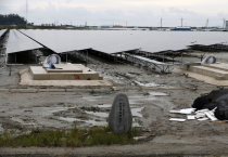 "사라지는 염전, 부활은 가능할까"… 영광 천일염 산업 '좌초'