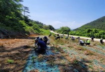 가정행복과, 마늘 농가 일손돕기 구슬땀