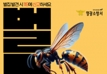 영광소방서, 폭염 속 벌쏘임 사고 급증 “야외 활동 각별히 주의”