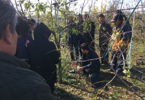 대한민국 대표 과일을 꿈꾸는 영광 사과대추