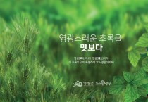 보리·모싯잎 산업의 혁신적 육성으로 ‘우수특구’ 선정!