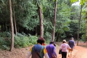 영광군, 코로나19 심리지원 물무산 행복숲 황톳길 걷기 추진