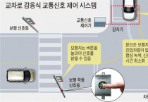 너무 많은 교통신호등…출퇴근길 군민들 ‘왕짜증’