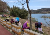 불갑면, ‘전국 최대 상사화 군락지’ 명성 유지 박차