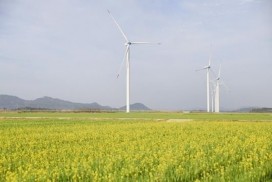 영광군, 햇빛과 바람으로 ‘기본소득’ 시대 연다