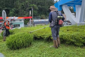 법성면, 추석 명절맞이 도로변 풀베기  및 환경정비 대대적 실시