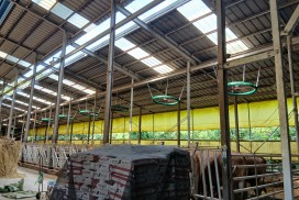 영광군, 겨울철 축산재해 예방 총력… “가축 피해 최소화 위한 현장 대응 강화”