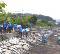2025 영광법성포단오제 및 환경의 날 기념 깨끗한 영광만들기 선도
