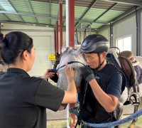 영광군, 힐링승마 지원사업 참여자 모집
