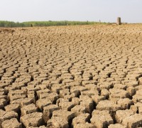 영광군 봄 가뭄, 근본적 해결책 필요