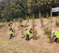 영광군 여성경제인협회, 식목일 행사서 ‘녹색 영광’ 만들기 앞장