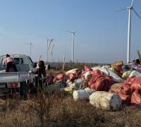 백수읍 어머니봉사대, 깨끗한 바다 가꾸기 위해 해양환경 정화활동 펼쳐