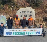 영광군 유해야생동물 기동구제단,  송이도 야생멧돼지 집중포획!