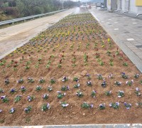 군남면, 쓰레기 불법 투기지역 양심화단 조성